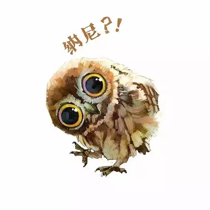 01.webp.jpg